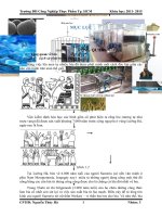 Tìm hiểu công nghệ sản xuất bia