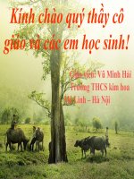 Tiết 13:Những câu hát than thân
