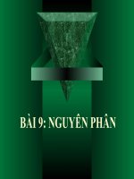 Bài 9 : Nguyên phân ( Mitosis)