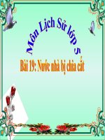 Môn Lịch sử: Nước nhà bị chia cắt