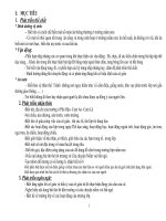 giao an trương mâm non