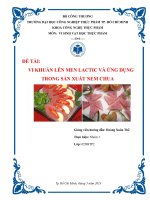 VI KHUẨN LÊN MEN LACTIC VÀ ỨNG DỤNG TRONG SẢN XUẤT NEM CHUA