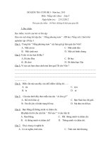 Môn Tiếng việt lớp 3 (VNEN)