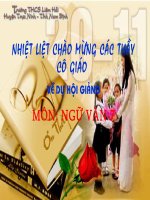 NGẪU NHIÊN VIẾT NHÂN BUỔI MỚI VỀ QUÊ
