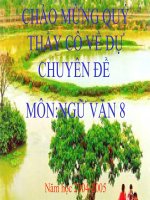 tiet 17 tu ngu dia phuong v a biet ngu lop 8