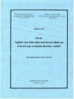 nghiên cứu biểu hiện interferon-alpha gà trên bề mặt vi khuẩn bacillus subtilis