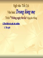 Trong long me