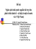 Slide Tiểu luận Ngân sách nhà nước nguồn tài trợ quan trọng cho phát triển kinh tế xã hội ( thực tiễn ở một số nước và Việt Nam hiện nay)