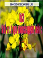 BANG TUAN HOAN HOA HOC