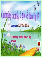 học vần IÊU-YÊU