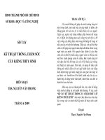 sổ tay kỹ thuật trồng chăm sóc kiểng thủy sinh