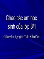 sự cân bằng lực quán tính