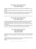 ĐỀ THI HSG ĐỊA LÍ NH 2012- 2013