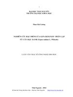 Nghiên cứu đặc điểm của Gen Defensin phân lập từ cây đậu xanh (Vigna radiata L. Wilczek)