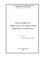 báo cáo nghiên cứu về hiện trạng và xu thế phát triển robot dịch vụ ở nước ngoài