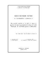 điều tra khảo sát khảo cổ học phục vụ nhu cầu quy hoạch, xây dựng và phát triển huyện cần giờ tp.hcm (giai đọan 2006-2010)