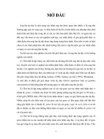 Định danh các type gen của Helicobacter pylori và ý nghĩa bệnh học trong ung thư dạ dày ( Bệnh viện Đại học Y Dược Tp.HCM chủ nhiệm đê tài  PGS.TS. Trần Thiện Trung )