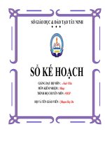 so ke hoach bo mon anh van 6