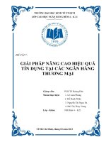 giải pháp nâng cao hiệu quả tín dụng tại các ngân hàng thương mại