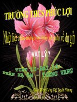 Bài 14. phản xạ âm, tiếng vang