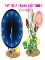 bai 13- di truyen lien ket