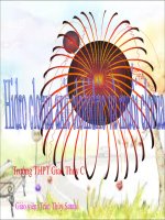 Hidro clorua axit clohidric và muối clorua