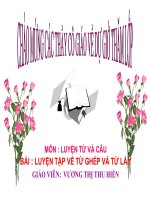 Luyện tập về từ ghép và từ láy