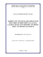 nghiên cứu ứng dụng multiplex pcr phát hiện sự hiện diện của e-coli và s.aureus mang gen sinh độc tố trong thức ăn nhanh tại tp.hcm