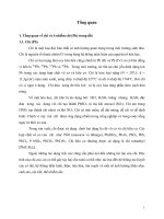 Ứng dụng cỏ vetiver xử lý chì trong đất