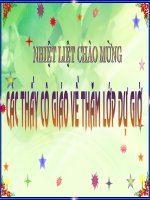 tiết 47 quần thể sinh vật - giáo án sinh học 9 bồi dưỡng thao giảng, thi giáo viên giỏi tham khảo (9)