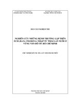 Nghiên cứu những bệnh thường gặp trên ếch (rana tigerina) nhập từ Thái Lan nuôi ở vùng ven đô thành TP.HCM