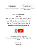 xây dựng chiến lược xâm nhập thị trường liên minh châu âu (eu) cho sản phẩm hoa và cây cảnh của tp.hcm trong bối cảnh hội nhập tổ chức thương mại quốc tế (wto)