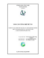 nghiên cứu đặc điểm thuỷ địa hoá của thành phố hồ chí minh phục vụ qui hoạch, quản lý tài nguyên nước và bảo vệ môi trường bền vững