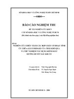 Nghiên cứu chiết tách các hợp chất có hoạt tính ức chế alpha - glucosidase của trái khổ qua và thử nghiệm tác dụng kiểm soát đường huyết sau khi ăn