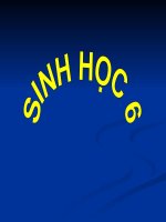 sơ đồ tư duy sinh 6 bài 12