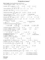 Đề cương ôn tập chương 1 đại số 9 VIP 2013-2014 Lg