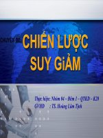 tiểu luận môn quản trị chiến lược chiến lược suy giảm