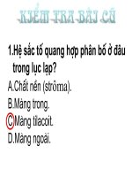 Bài 9. QUANG HỢP Ở TV C3 C4 CAM