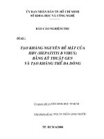Báo cáo khoa học Tạo kháng nguyên bề mặt của hbv (hepatitis b virus) bằng kỹ thuật gen và tạo kháng thể đa tròng