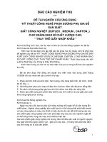 nghiên cứu ứng dụng kỹ thuật công nghệ phun sương phụ giá để sản xuất giấy carton, duplex cho ngành công nghiệp bao bì chất lượng cao thay thế giấy nhập khẩu