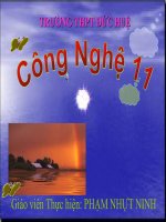 động cơ đốt trong dùng cho xe máy