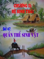 tiết 47 quần thể sinh vật - giáo án sinh học 9 bồi dưỡng thao giảng, thi giáo viên giỏi tham khảo (3)