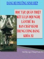 Nghị quyết trung ương 3, khóa X