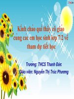 Mĩ thuật : vẽ trang trò chơi dân gian