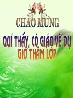 tiết 47 quần thể sinh vật - giáo án sinh học 9 bồi dưỡng thao giảng, thi giáo viên giỏi tham khảo (1)