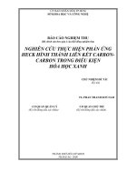 nghiên cứu thực hiện phản ứng heck hình thành liên kết carbon-carbon trong điều kiện hóa học xanh