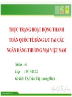 báo cáo tiểu luận môn thanh toán quốc tế thực trạng hoạt động thanh toán quốc tế bằng tín dụng chứng từ tại các ngân hàng thương mại việt nam