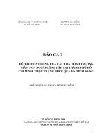 oạt động của các loại hình trường mầm non ngoài công lập tại tp.hcm. thực trạng hiệu quả và tiềm năng