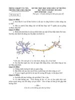 de thi HSG cap huyen 2013