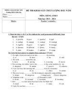 khảo sát Tiếng Anh 8